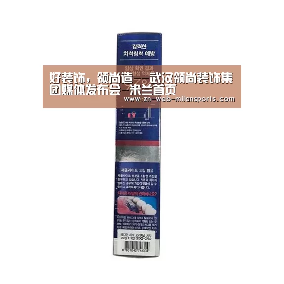 好装饰,领尚造--武汉领尚装饰集团媒体发布会-米兰首页(图2) 米兰app