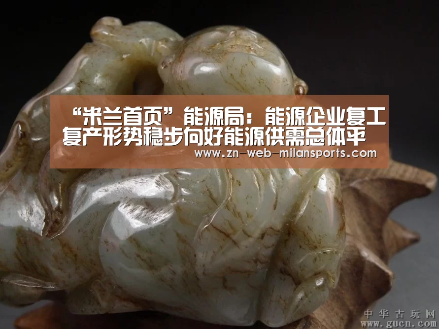 “米兰首页”能源局:能源企业复工复产形势稳步向好能源供需总体平衡(图3) 米兰运动